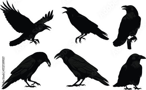Raven silhouette vector set, flying crow illustration, perched bird clipart, black raven poses, spooky Halloween animal, wildlife graphic design