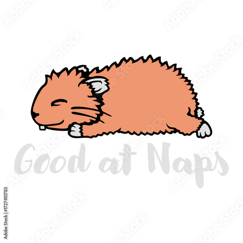 Good at Naps Hamster Rodent Pet Tired Animal Sleeping