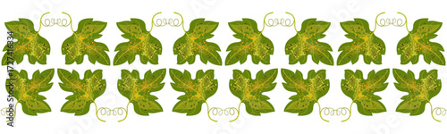 Seamless border of old green leaves. Autumn old spotted grape leaves on white background. Traditional floral ornament. Autumnal plant seasonal pattern. Decor for Thanksgiving Day