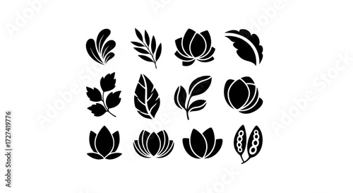 Collection of isolated botanical icons. Simple black silhouettes of lotus flowers, leaves, and seed pods, perfect for minimalist logos and natural design.