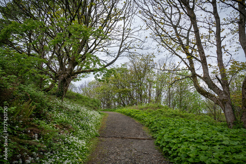 Autumn Trail at Downhill Demesne and Mussenden Temple, Northern Ireland