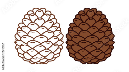 Pinecone outline and color illustration set. Simple drawing of a conifer tree fruit. Stylized symbol of autumn and forest decoration.