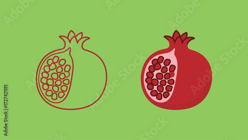 Pomegranate fruit outline and color illustration set on green background. Simple vector drawing of a healthy summer fruit cut open with seeds.