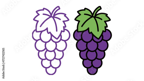 Purple grape cluster with leaf outline and color illustration set. Simple vector drawing of a sweet fruit for winemaking, food, and juice concepts.