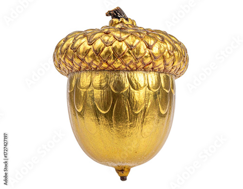 Golden Acorn with Intricate Textured Surface Isolated on White