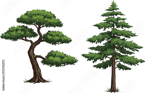 Botanical tree illustration, stylized deciduous tree, coniferous pine tree, nature art, forest silhouette, plant drawing, evergreen foliage, landscape element