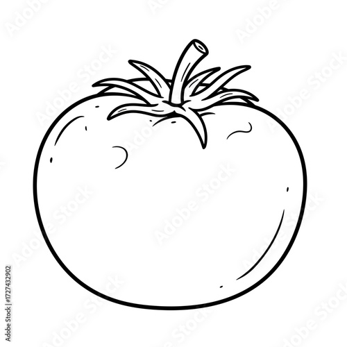 tomato, coloring, vegetable, fruit, kids, food, outline, drawing, sketch, lineart, printable, healthy, red, nature, garden, plant, organic, kitchen, nutrition, fresh, slice, salad, cooking, edible, ra