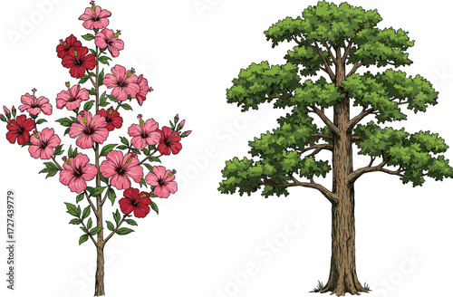 Hibiscus shrub, flowering plant, deciduous tree, green foliage, nature contrast, tropical garden, botanical diversity, landscape design, tree and bush, outdoor flora