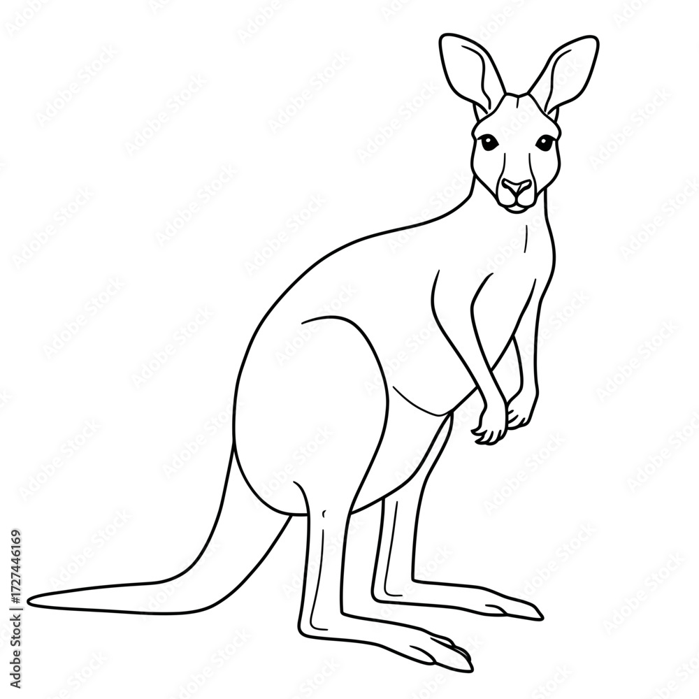 Obraz premium kangaroo, vector, outline, drawing, lineart, animal, wildlife, marsupial, Australia, sketch, illustration, graphic, clipart, design, nature, mammal, pose, tail, ears, legs, jump, pouch, wild, creature