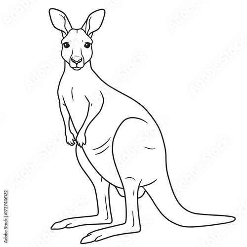 kangaroo, vector, outline, drawing, lineart, animal, wildlife, marsupial, Australia, sketch, illustration, graphic, clipart, design, nature, mammal, pose, tail, ears, legs, jump, pouch, wild, creature