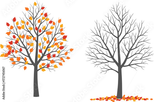 Autumn tree vector illustration with falling leaves, seasonal contrast, black and white design, nature concept, symbolic seasonal transition artwork