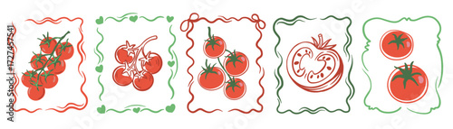 Vector illustration of tomatoes in hand drawn frames. Set of fresh red tomatoes, cherry tomatoes and sliced tomato in sketch style. Organic vegetable design for kitchen, menu, packaging, healthy food 