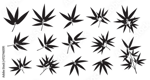 Collection of black silhouette bamboo leaves and stems isolated on transparent background for decorative design elements