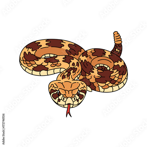 Coiled Rattlesnake Illustration with Brown and Tan Patterns Red Tongue and Distinctive Tail Rattle.