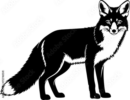 Bilde på lerret Elegant black fox stands alert with bushy tail, showcasing wild nature's grace a