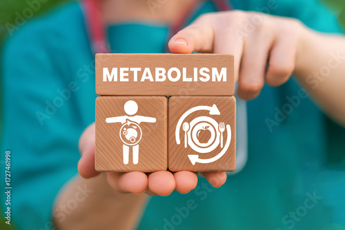 Metabolism Medical Concept with Diet, Nutrition, Immunity and Human Health Illustration