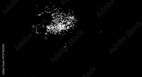 Canvastavla Dynamic abstract splash effect with energetic white particles bursting outwards