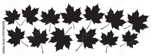 Collection of dark silhouette maple leaves arranged in a cluster isolated on transparent background