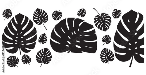 Collection of stylized black monstera deliciosa leaves in various sizes and orientations isolated on transparent background
