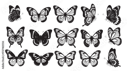 Collection of detailed black and white butterfly silhouettes in various poses and wing patterns isolated on transparent background