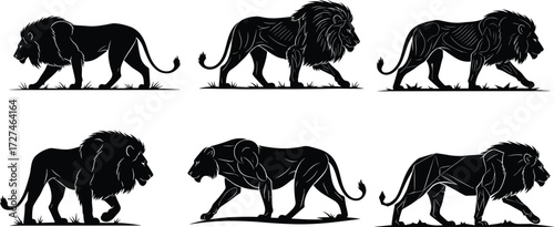 PrintLion silhouettes with strong muscular body design, wild animal illustration, big cat predator vector artwork, majestic jungle king feline silhouette drawing