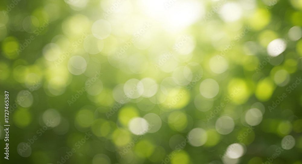 Obraz premium green bokeh background