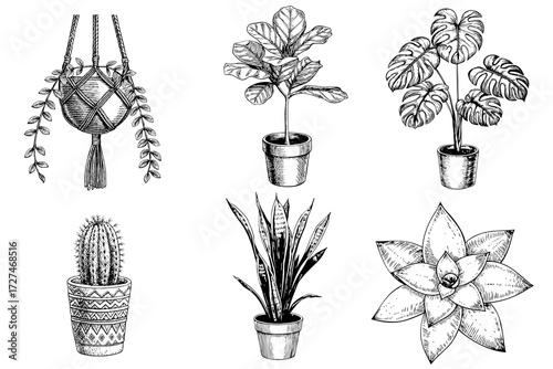 Potted houseplants collection illustration in retro sketch
