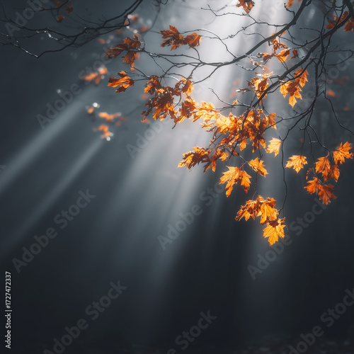 Low-angle cinematic scene with late-autumn fog and floating leaves edge-lit by warm rim light. Moody and atmospheric, perfect for editorial narratives