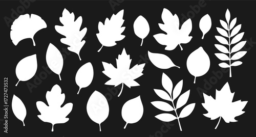 A set of silhouettes of white autumn leaves of different shapes on a black background. A collection of autumn leaves from different trees. Seasonal elements for your design. Vector EPS 10.
