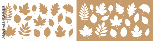 A set of silhouettes of autumn leaves in white and beige colors of different shapes. A collection of autumn leaves from different trees. Seasonal elements for your design. Vector EPS 10.