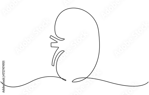 One continuous line drawing of the human kidney organ.