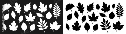 A set of silhouettes of white and black autumn leaves of different shapes. A collection of autumn leaves from different trees. Seasonal elements for your design. Vector EPS 10.