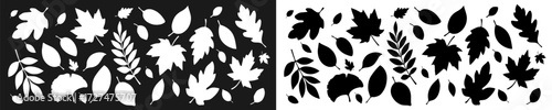 A set of autumn leaves of different shapes, black and white. A collection of silhouettes of autumn leaves from different trees such as oak, maple, chestnut. Vector EPS 10.