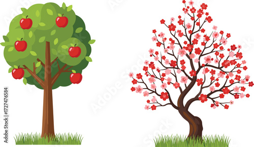 Apple tree with ripe red fruits, cherry blossom tree in full bloom, seasonal contrast of nature, green grass landscape background