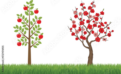 Apple tree with ripe red fruits, flowering tree with pink blossoms, nature landscape, spring season, orchard garden, botanical illustration, countryside beauty