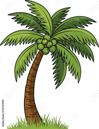 Cartoon coconut palm tree illustration, tropical summer plant, exotic beach tree clipart, green coconut tree, isolated vector, nature