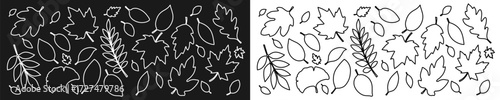 A large set of contours of white and black autumn leaves of different shapes. A collection of autumn leaves from different trees. Seasonal elements for your design. Vector EPS 10.