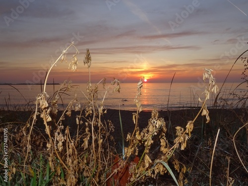 View from Black sea at Varna - BG