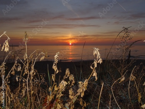 View from Black sea at Varna - BG