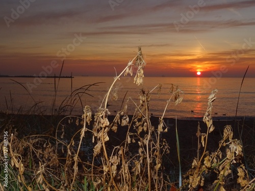 View from Black sea at Varna - BG