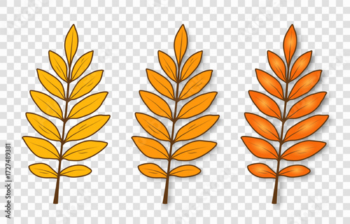 A set of bright, simple autumn leaves of yellow-orange color on a transparent background. Cartoon foliage for seasonal design. Vector EPS 10.