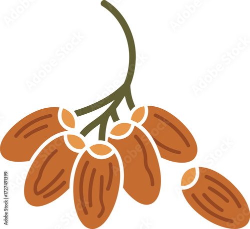 A simple, flat illustration of a cluster of brown dates hanging from a green stem.