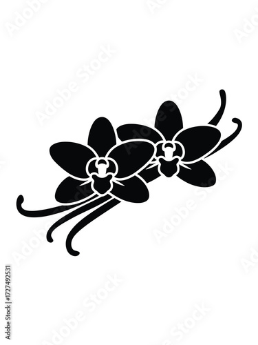Black silhouette of vanilla orchid flowers and pods
