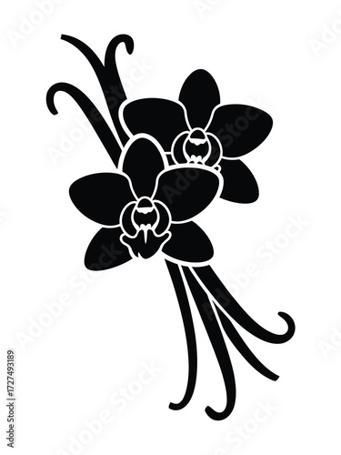 Black silhouette of vanilla orchid flowers and pods