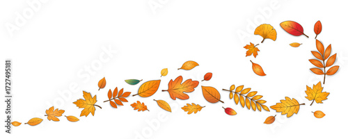 Autumn leaves with a shadow in the form of a spiral are highlighted on a white background. Hello autumn. Seasonal elements for your autumn design. Vector EPS 10.