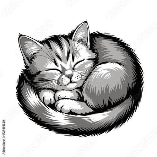 Curled up gray tabby kitten snoozing softly. Ideal for pet products, veterinary services, or calming relaxation concepts.