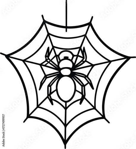 Spider hanging on web outline vector drawing