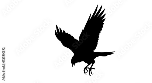 Silhouette of a hawk in flight with wings spread wide