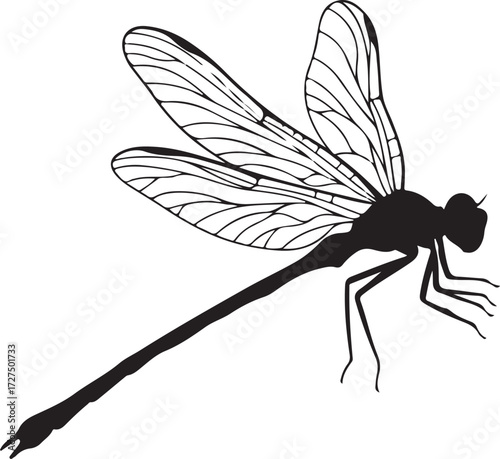 PrintDragonfly silhouette, insect anatomy, nature detail, wing pattern, entomology art, black profile, perched insect, biology study, flying creature, minimal design