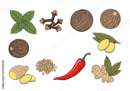 A collection of aromatic spices and herbs used in cooking.